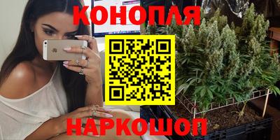 ПСИЛОЦИБИНОВЫЕ ГРИБЫ Будённовск